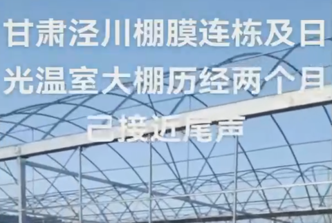 甘肅涇川棚膜連棟大棚及日光溫室大棚歷經(jīng)兩個(gè)月已接近尾聲